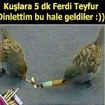 Filiz