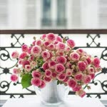 Nihal