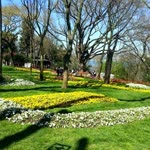 Zafer