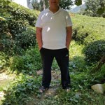 Nihat