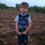 Mehmet