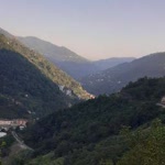 Zülfiye