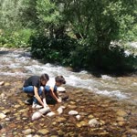 Elif