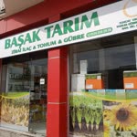 Başak