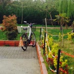 Elif