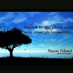 Harun