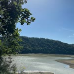Dudunur