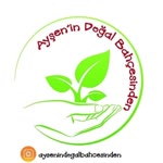 Ayşenin