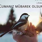 Şaban
