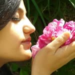 Sibel