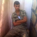 Doğan