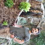 Damla