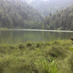 Alper
