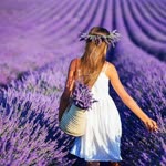 Elif