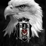 Ozan