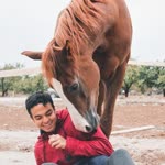 Ali