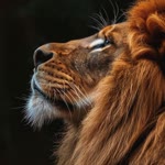 Erhan