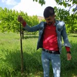 Volkan