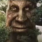 Egemen