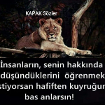 Sadettin