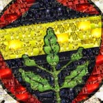 Hamit