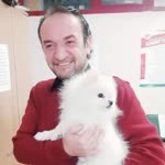 Umut