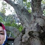 Betül