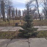 Антон