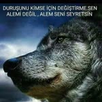 Güneş