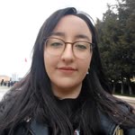 Ayşegül