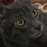 Ugur