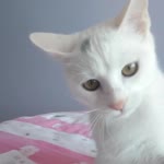 Esra