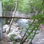 Hayati