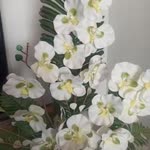 Rukiye