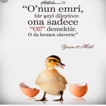 Muhittin