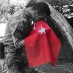 Halit