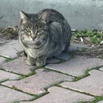 Eylül