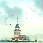 Şeref