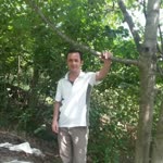 Fikret