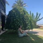 Songül
