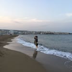 Yasemin