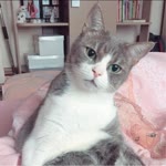 Fatma