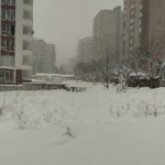 Hakkı
