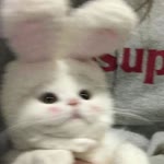 Kübra