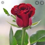 Fatma
