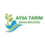 Aysa