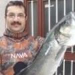 Savaş