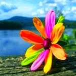 Melike