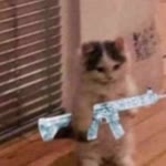 Mitatcan