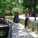 Duygu